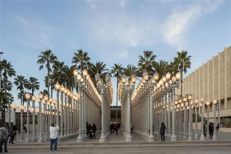 Il Museo di Arte Contemporanea: Un Oasis di Creatività nel Cuore di Los Angeles!