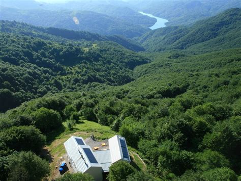  Il Parco Forestale del Monte Qinling: Un Rifugio Naturale tra le Nuvole e la Storia Antica!